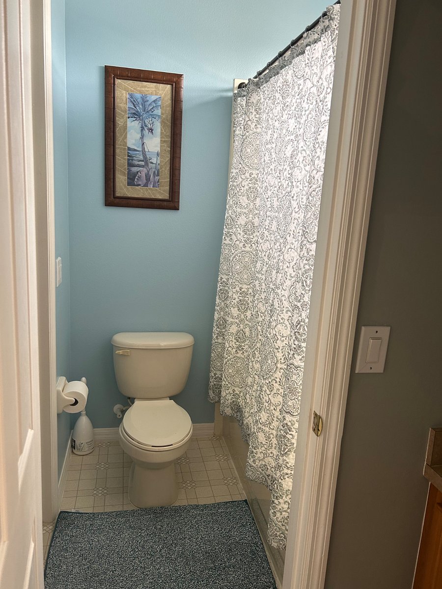 Furnished Finder property 804370_1 photo 5