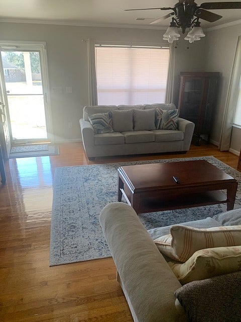 Furnished Finder property 804390_1 photo 3