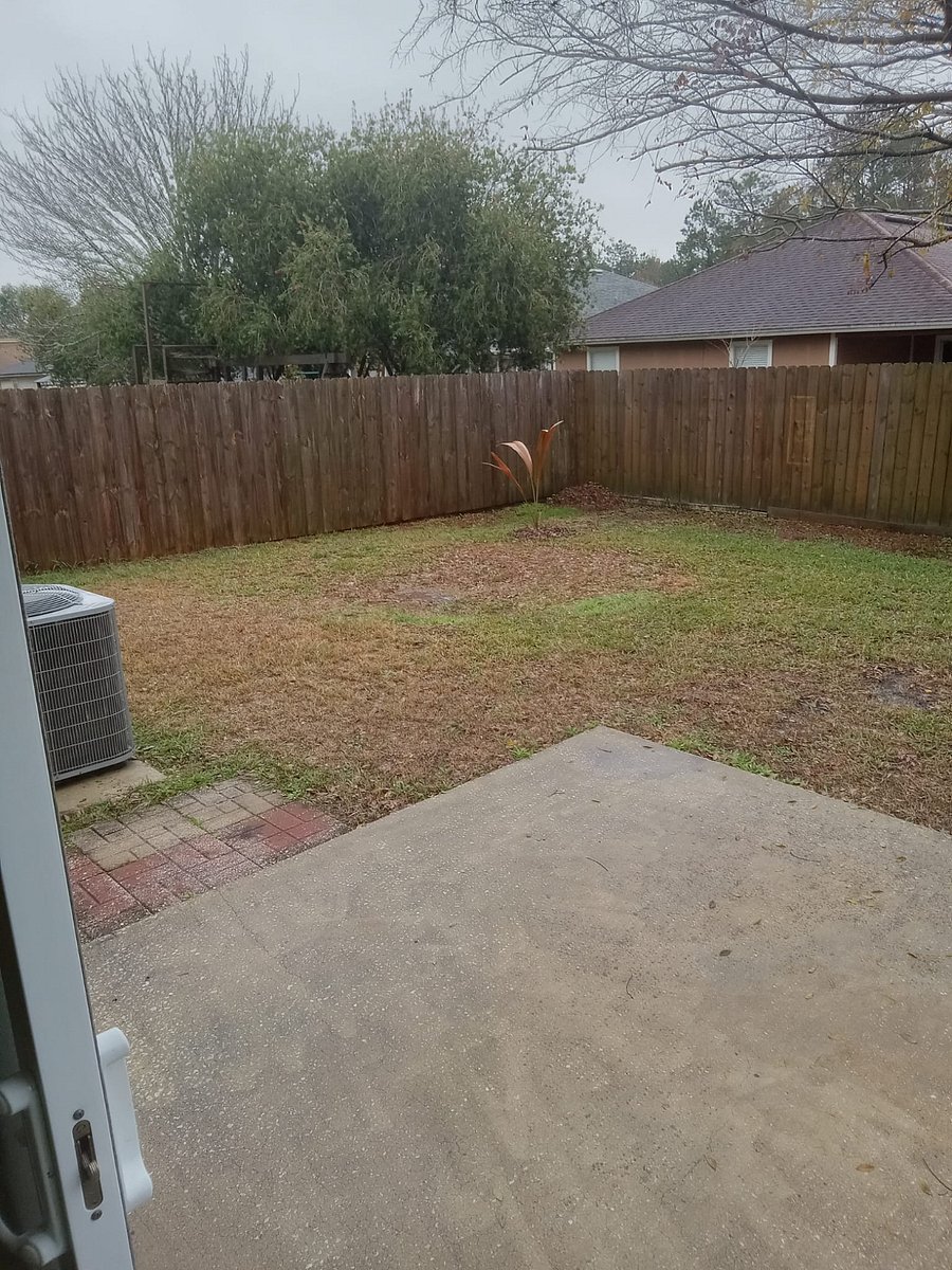 Furnished Finder property 804419_1 photo 17