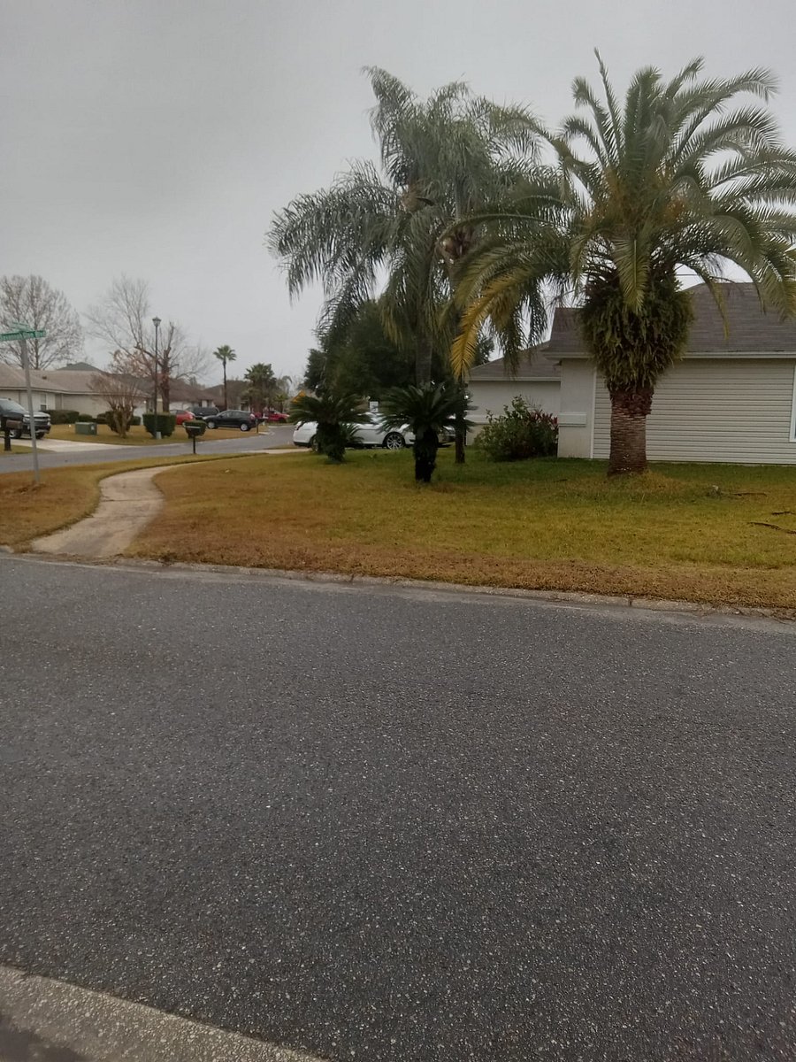 Furnished Finder property 804419_1 photo 20