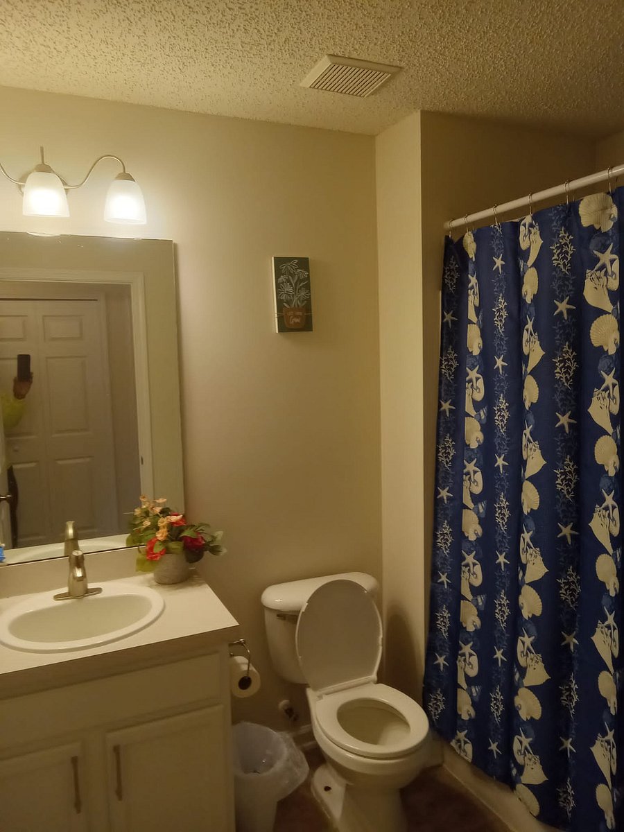 Furnished Finder property 804419_1 photo 5