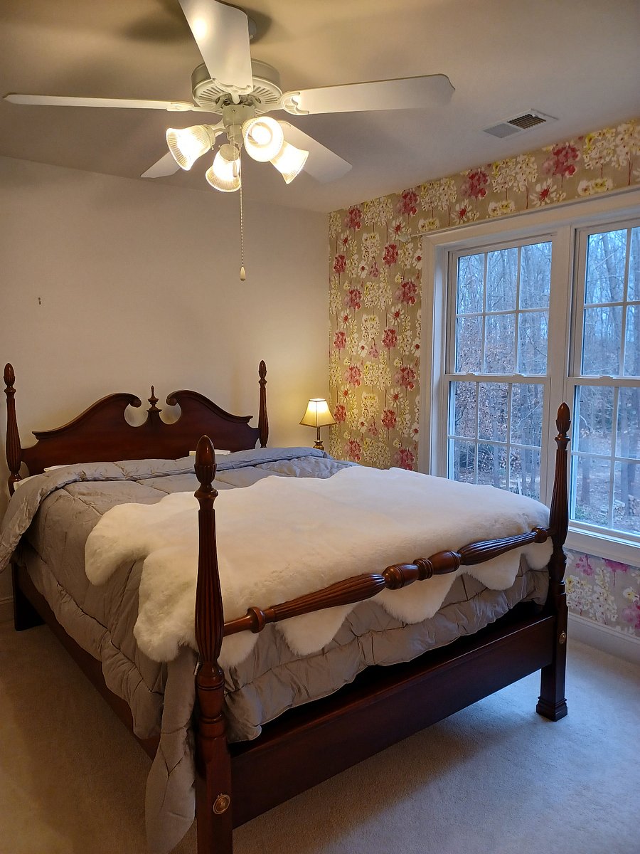 Furnished Finder property 804590_1 photo 6