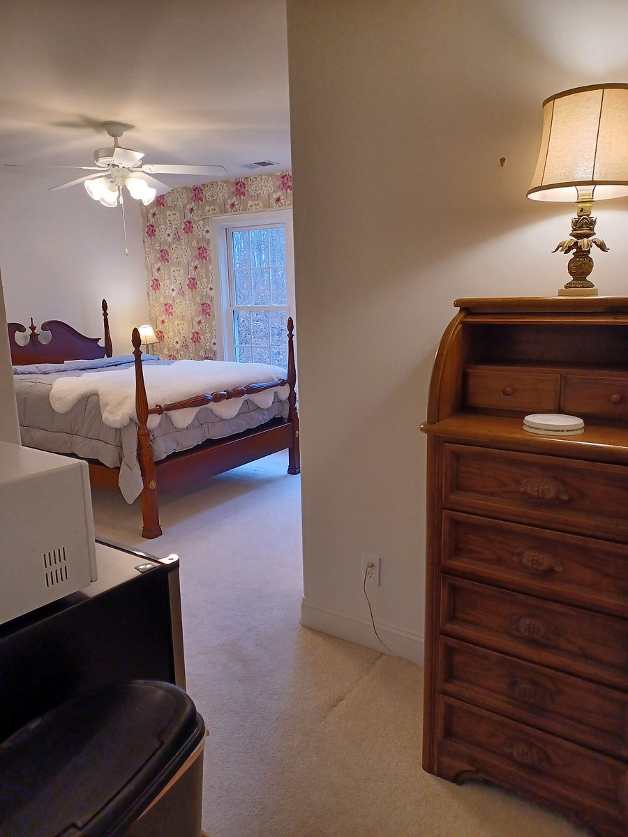 Furnished Finder property 804590_1 photo 7
