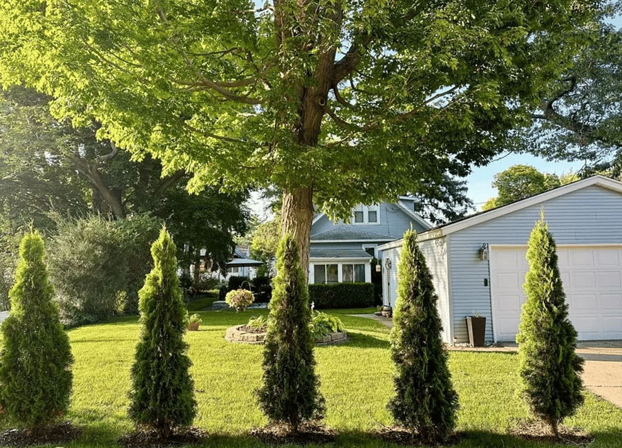 Outdoor Space