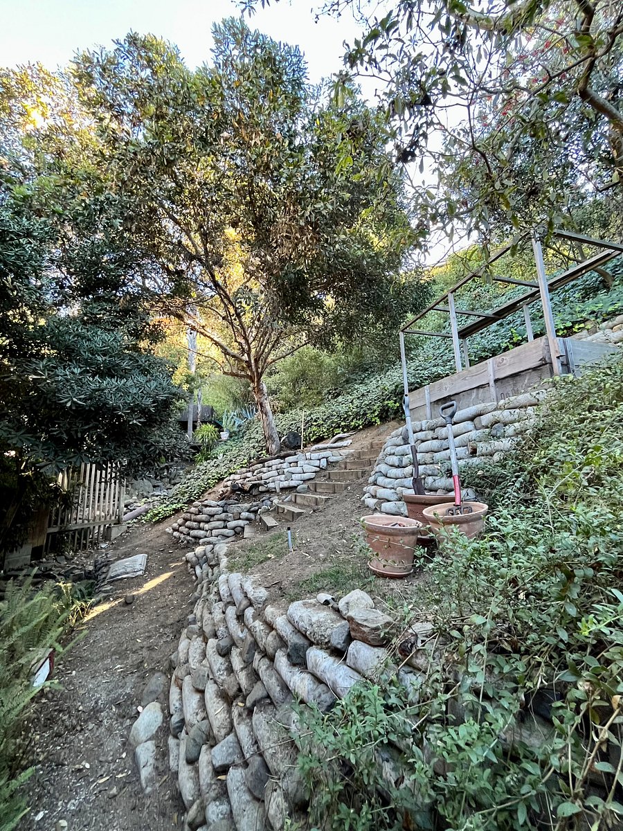 Serene back garden