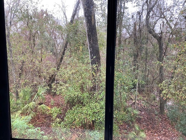 View of woods from living room and bedroom