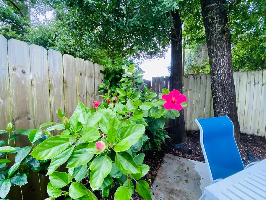 Furnished Finder property 804729_1 photo 24