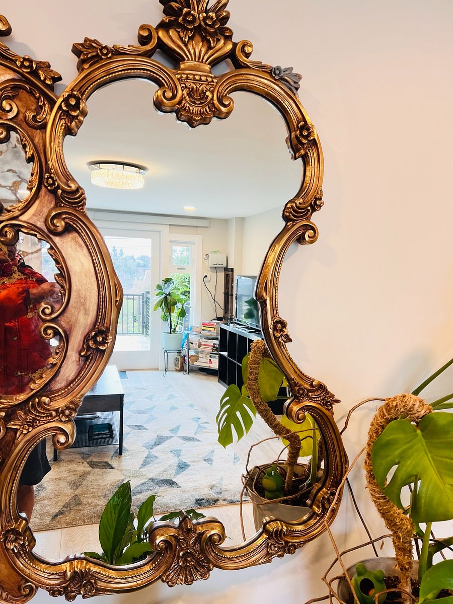 Furnished Finder property 804773_1 photo 5