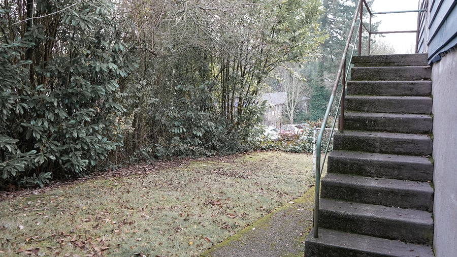 Furnished Finder property 804811_2 photo 21