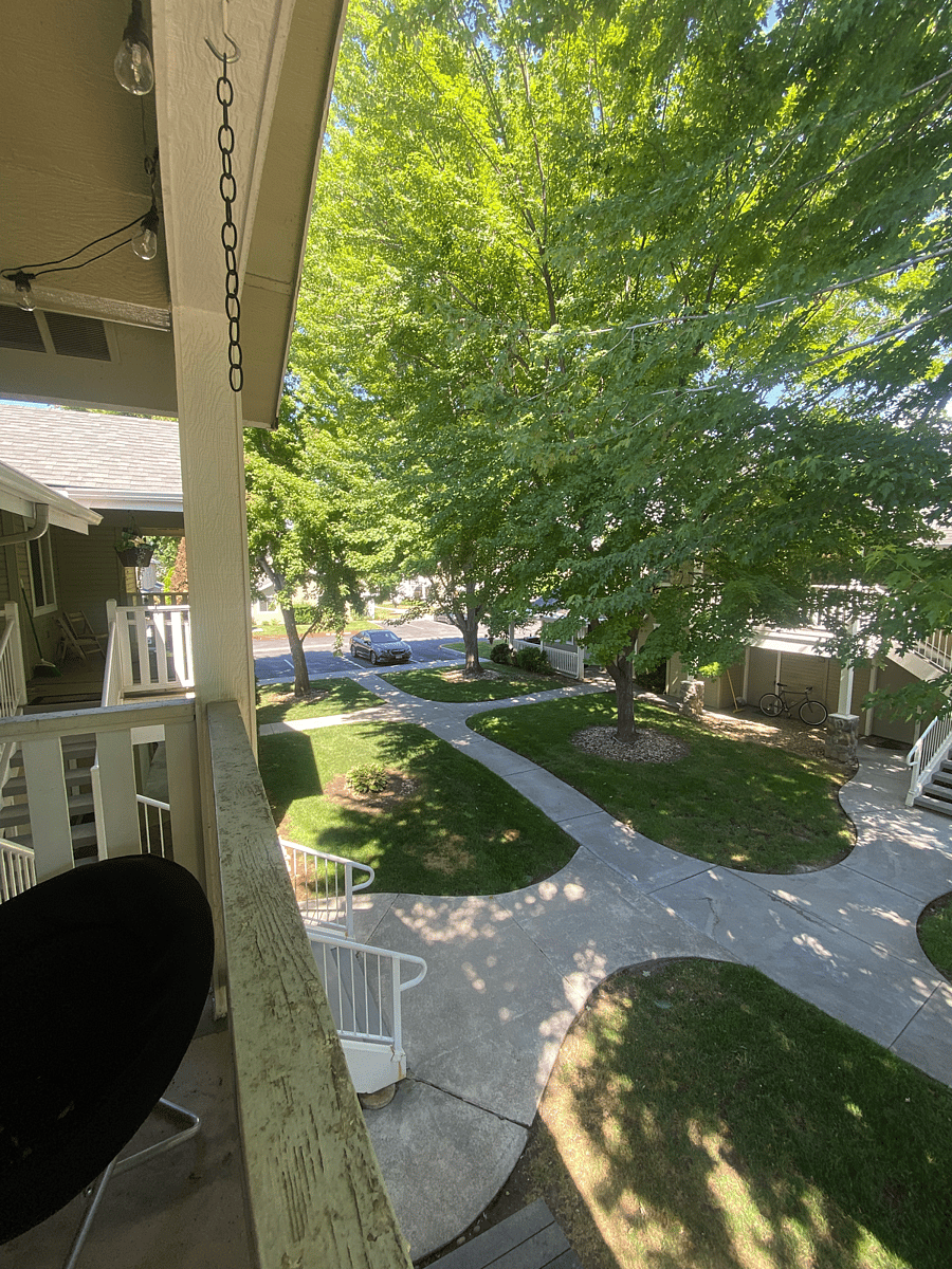 Furnished Finder property 804972_1 photo 18
