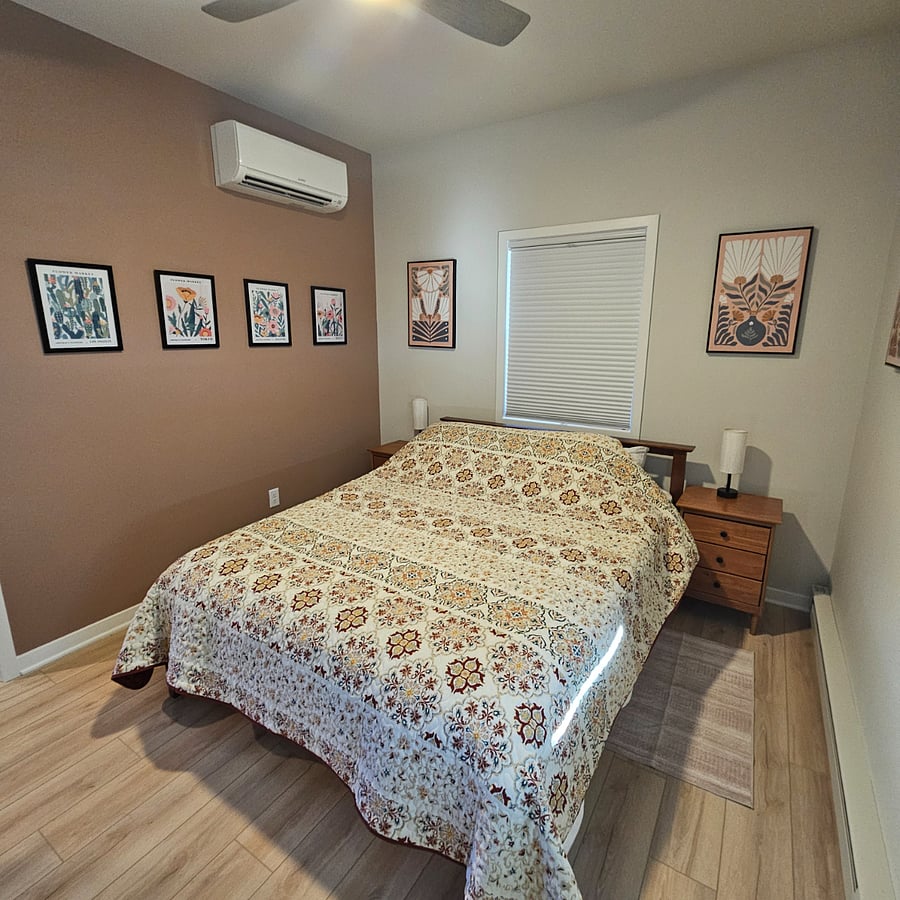 Mini split unit and ceiling fan
