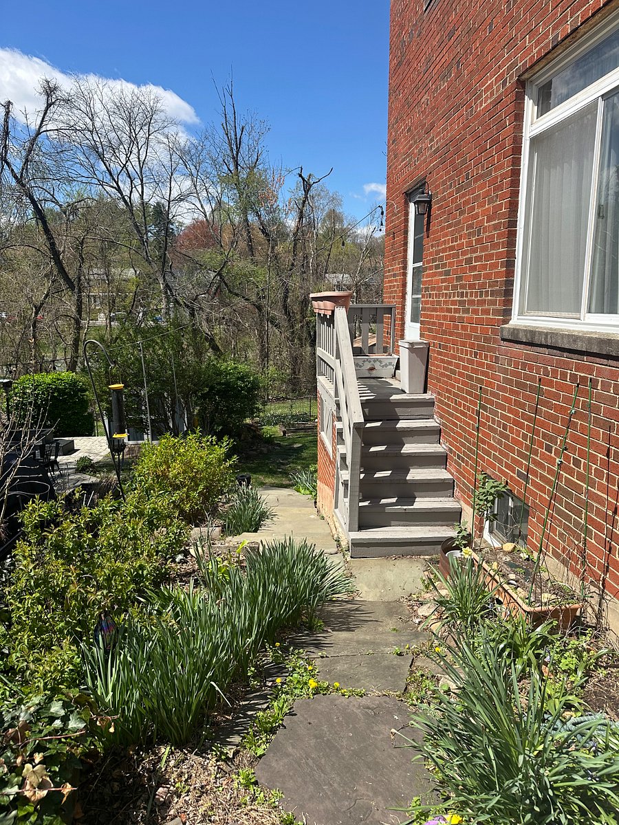 Side yard