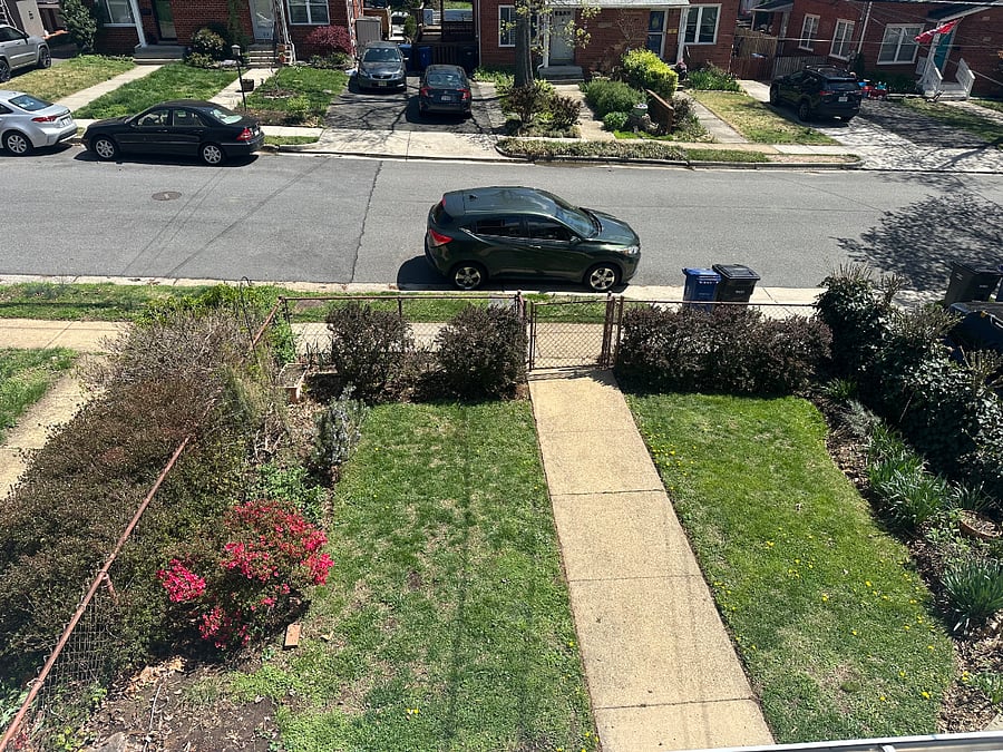 Front yard