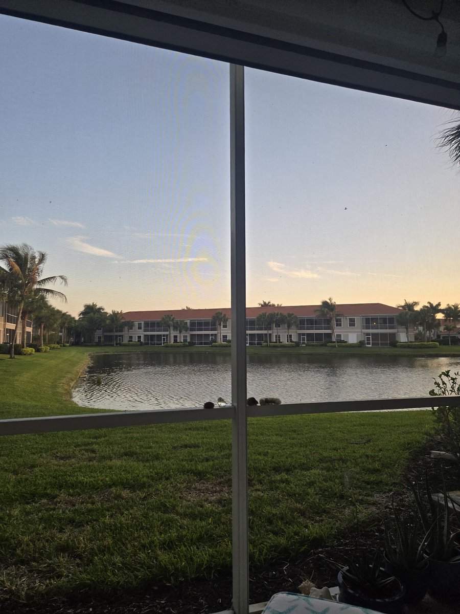 Furnished Finder property 805151_1 photo 11