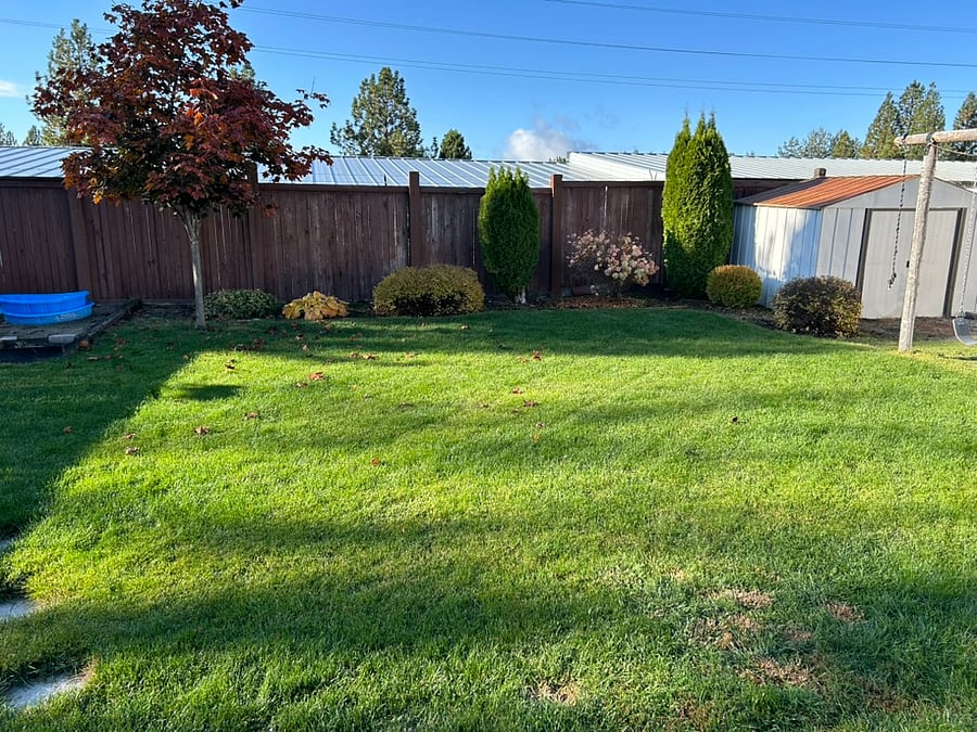 Furnished Finder property 805271_1 photo 17