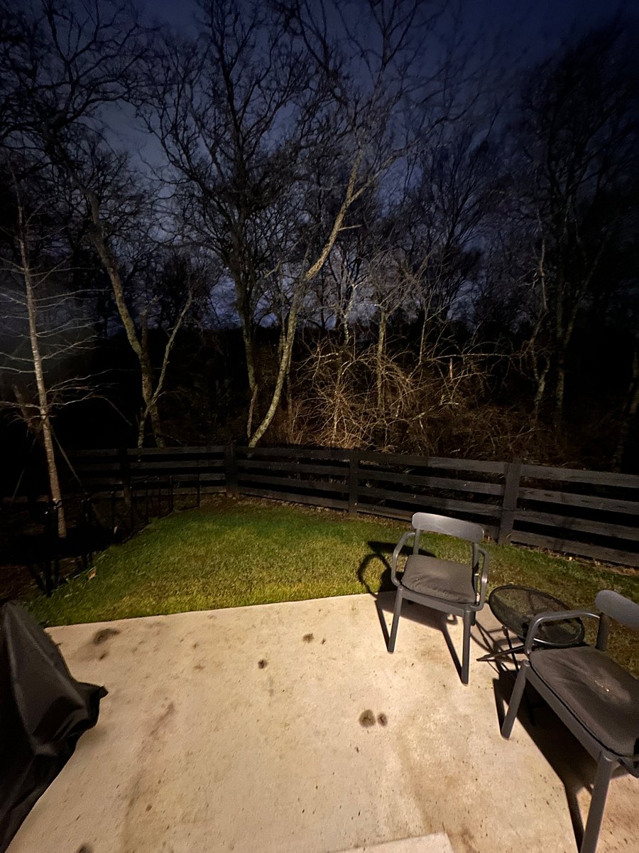Furnished Finder property 805303_1 photo 15