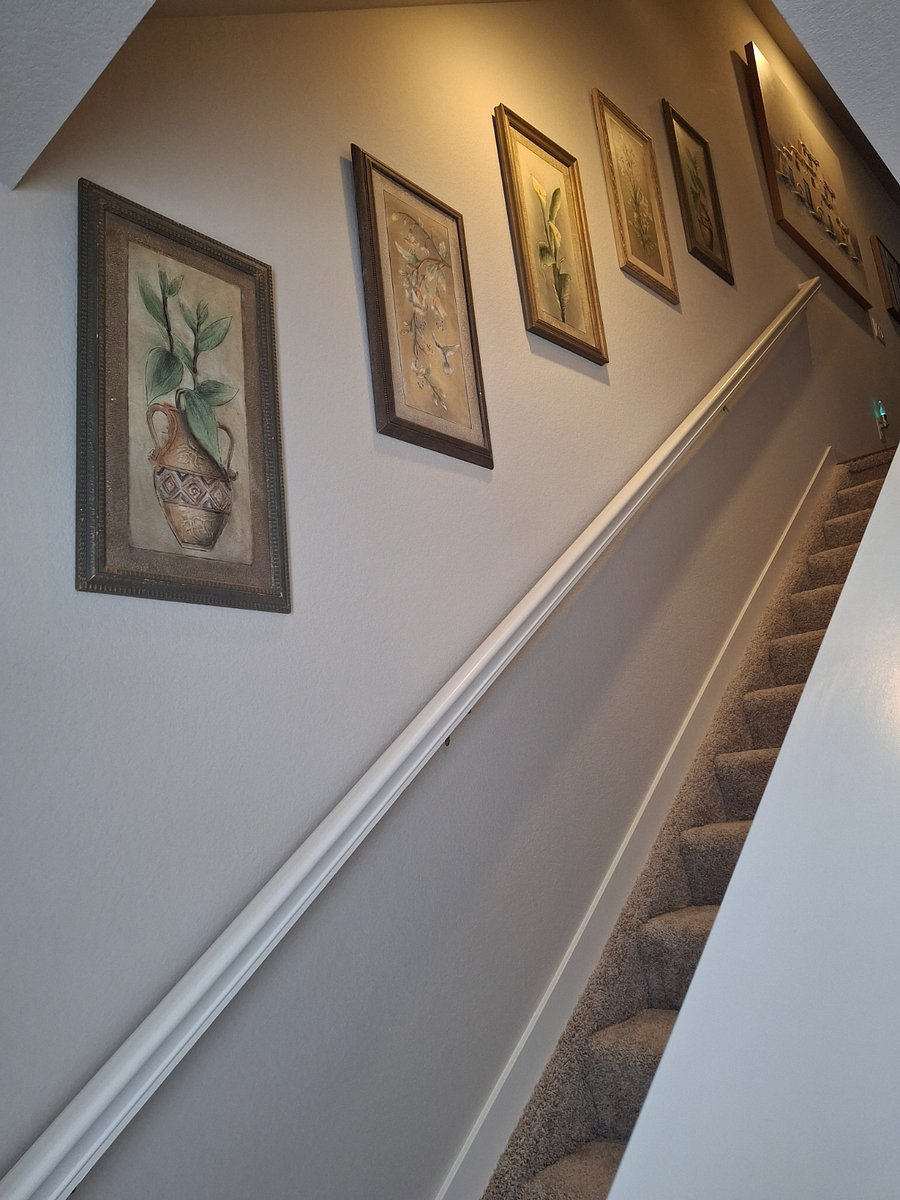 Furnished Finder property 805316_1 photo 16