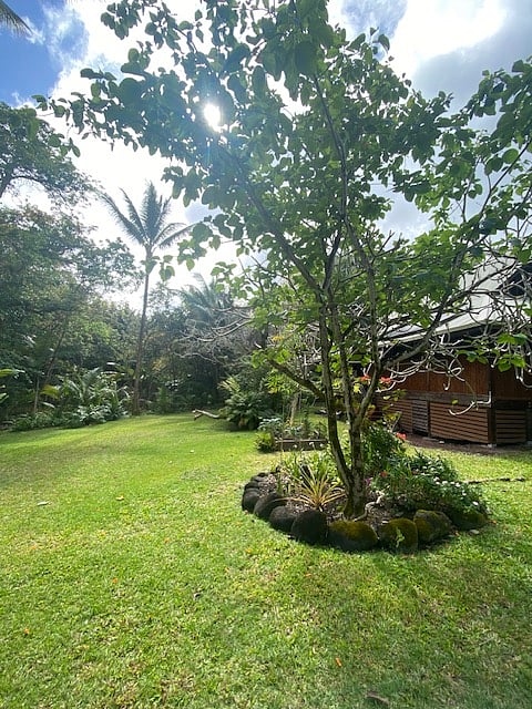 Furnished Finder property 805321_1 photo 12