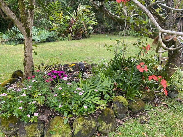 Furnished Finder property 805321_1 photo 15