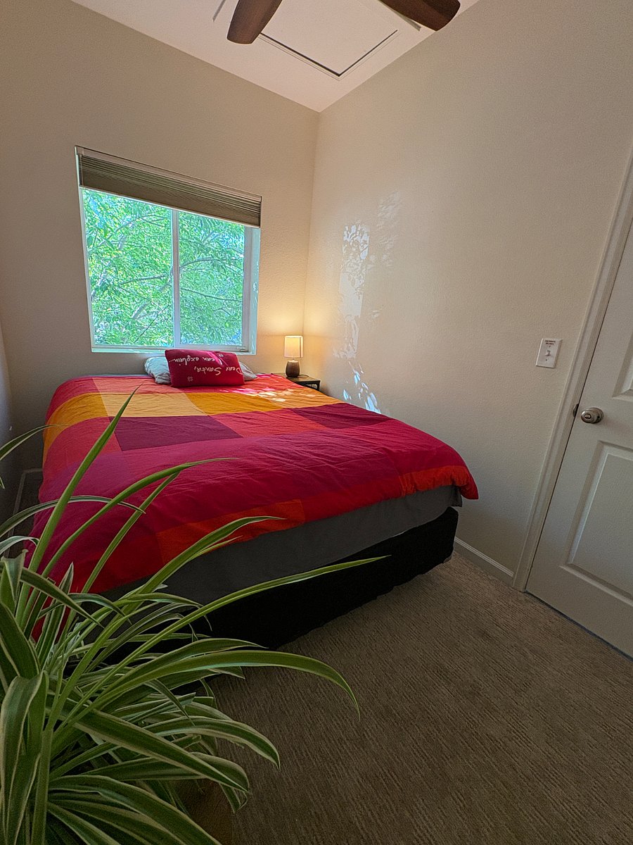 Furnished Finder property 805330_1 photo 15