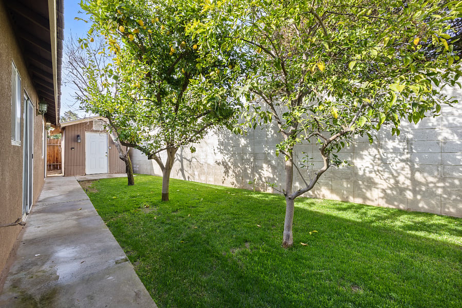 Furnished Finder property 805335_1 photo 41