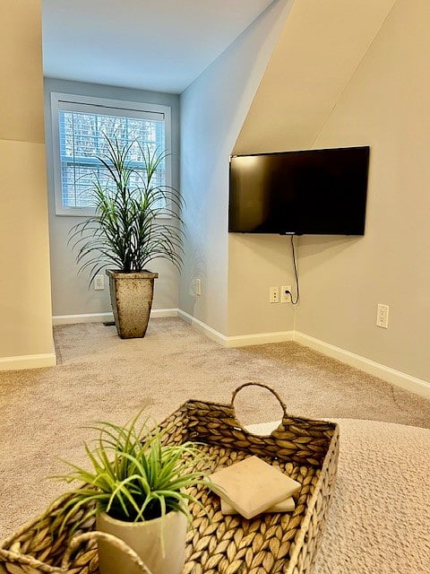 Furnished Finder property 805414_1 photo 4