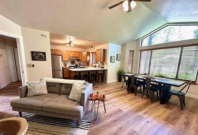 Furnished Finder property 805566_1 photo 15