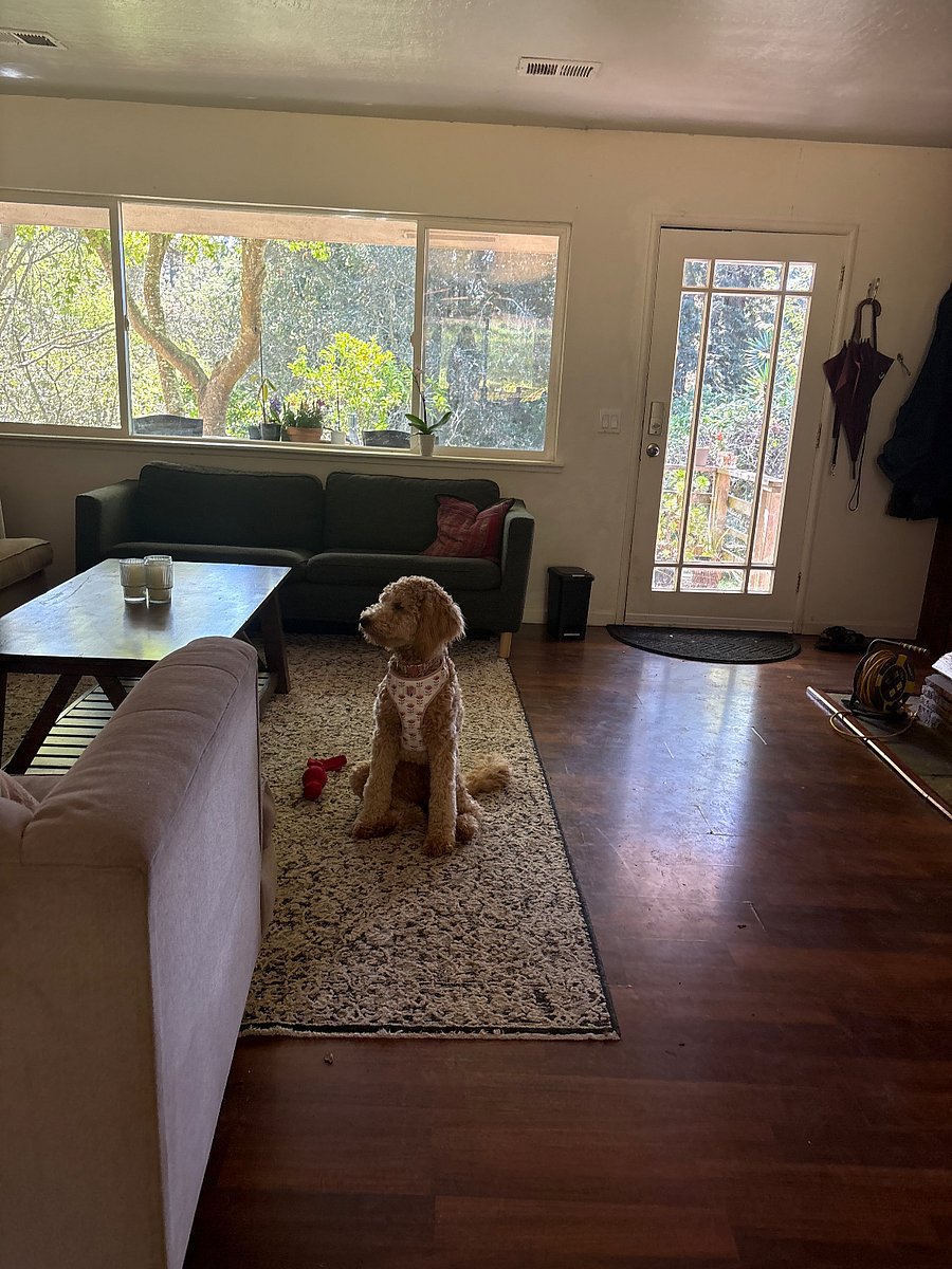 Furnished Finder property 805600_1 photo 18