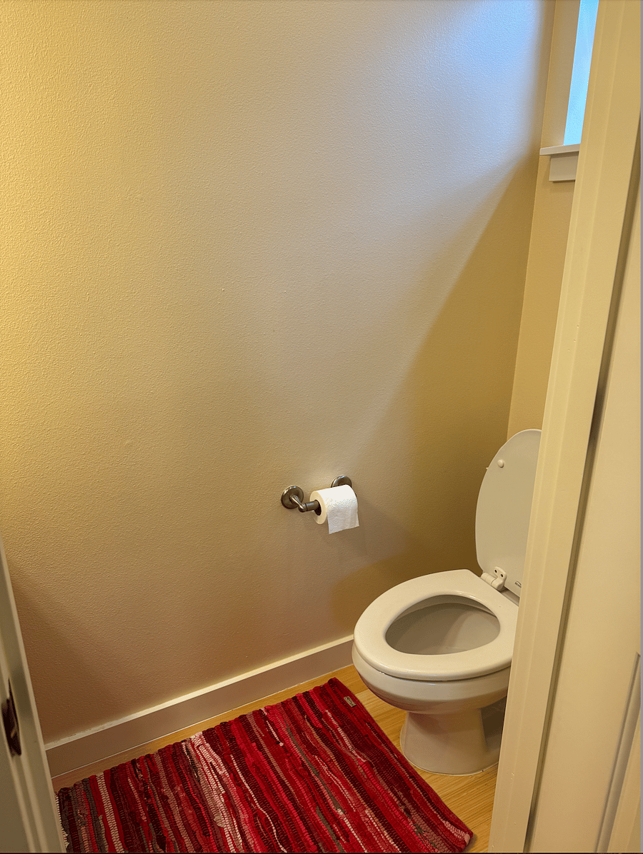 Guest bathroom