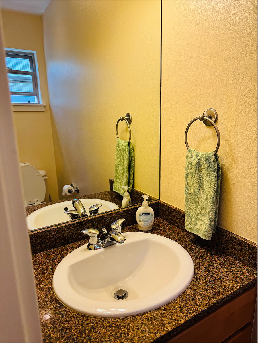 Guest bathroom