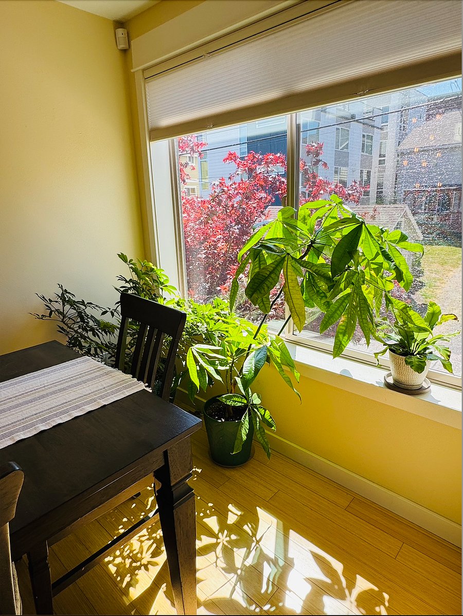 Furnished Finder property 805623_1 photo 12
