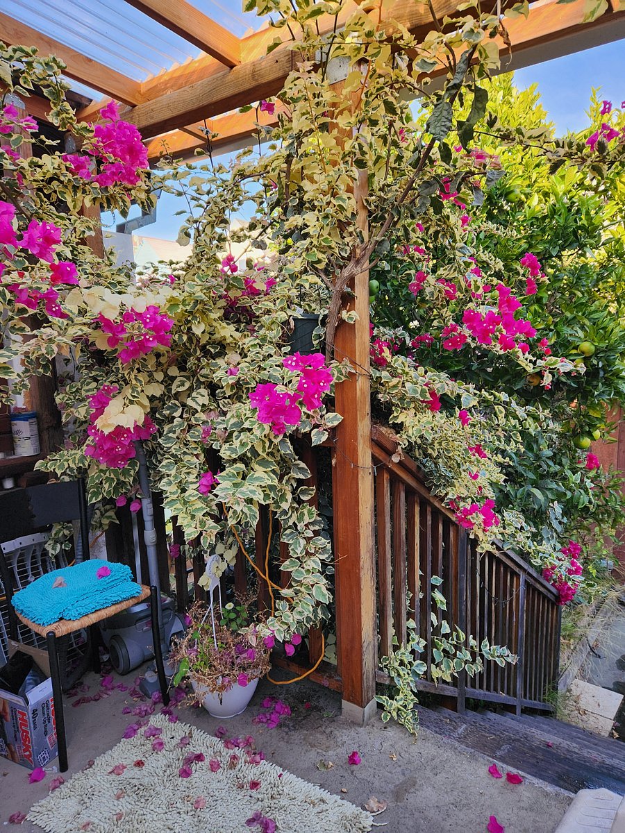 Furnished Finder property 805631_1 photo 13