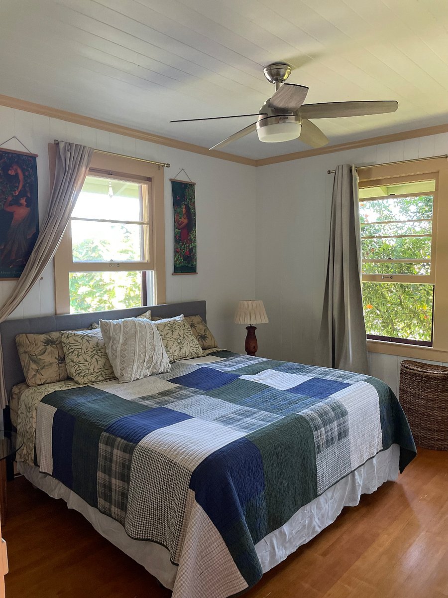 Furnished Finder property 805957_1 photo 23
