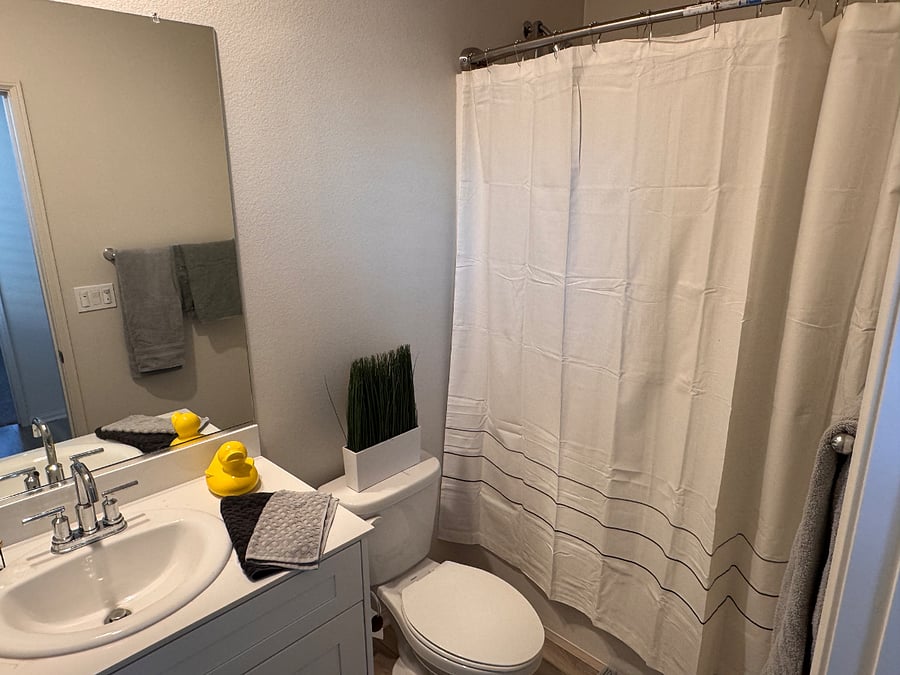Furnished Finder property 805992_1 photo 3