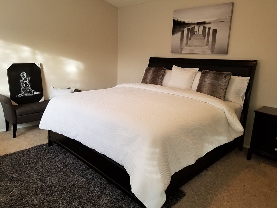 Furnished Finder property 806052_1 photo 20