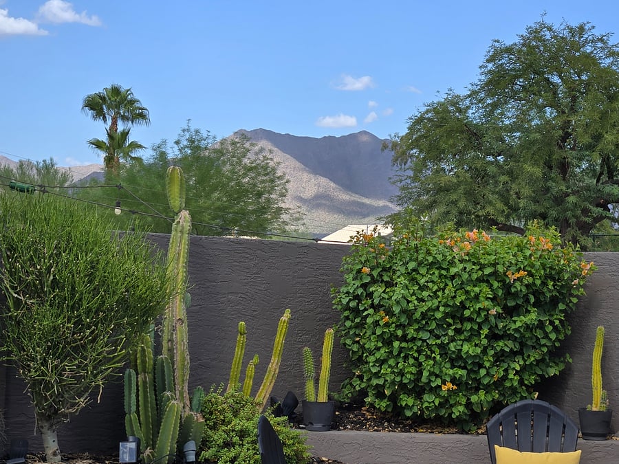 Furnished Finder property 806052_1 photo 27