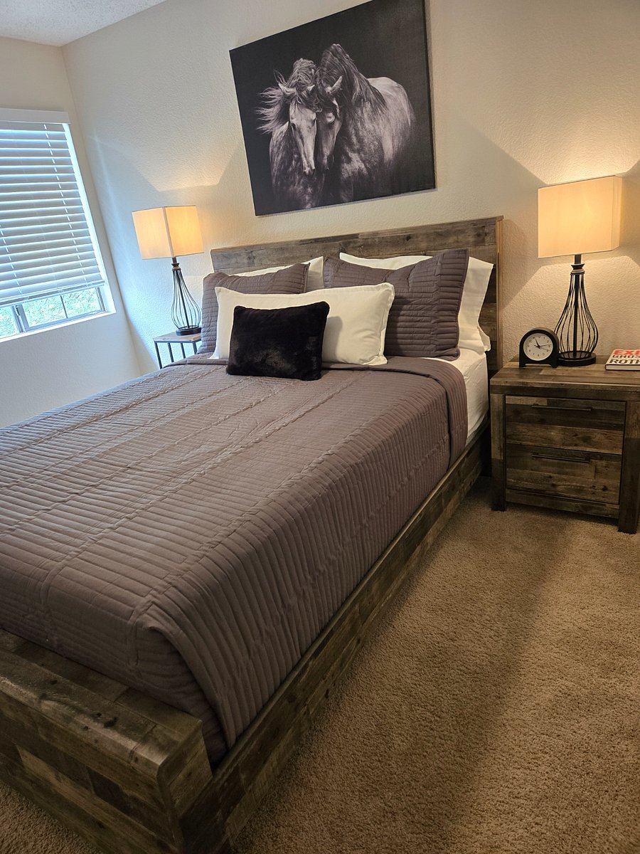 Furnished Finder property 806052_1 photo 39