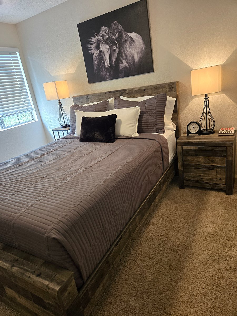 Furnished Finder property 806052_1 photo 46