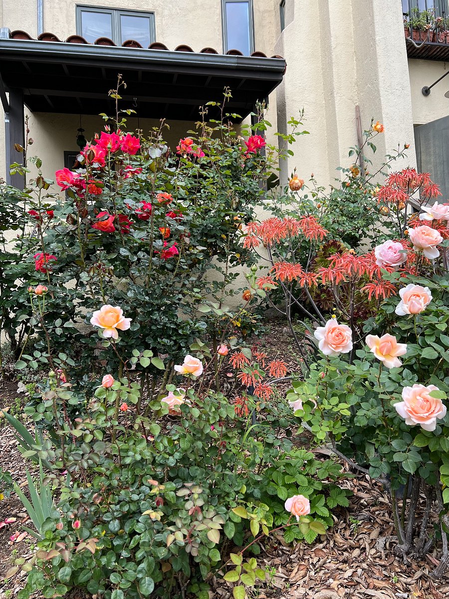 Outside the Apartment / view of the garden