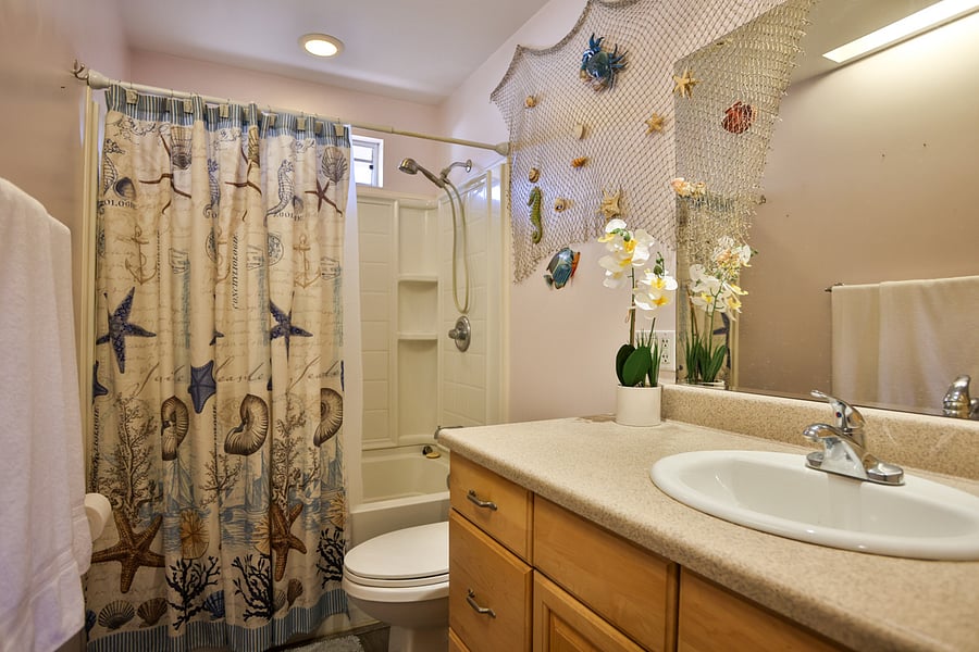 Furnished Finder property 806108_1 photo 11