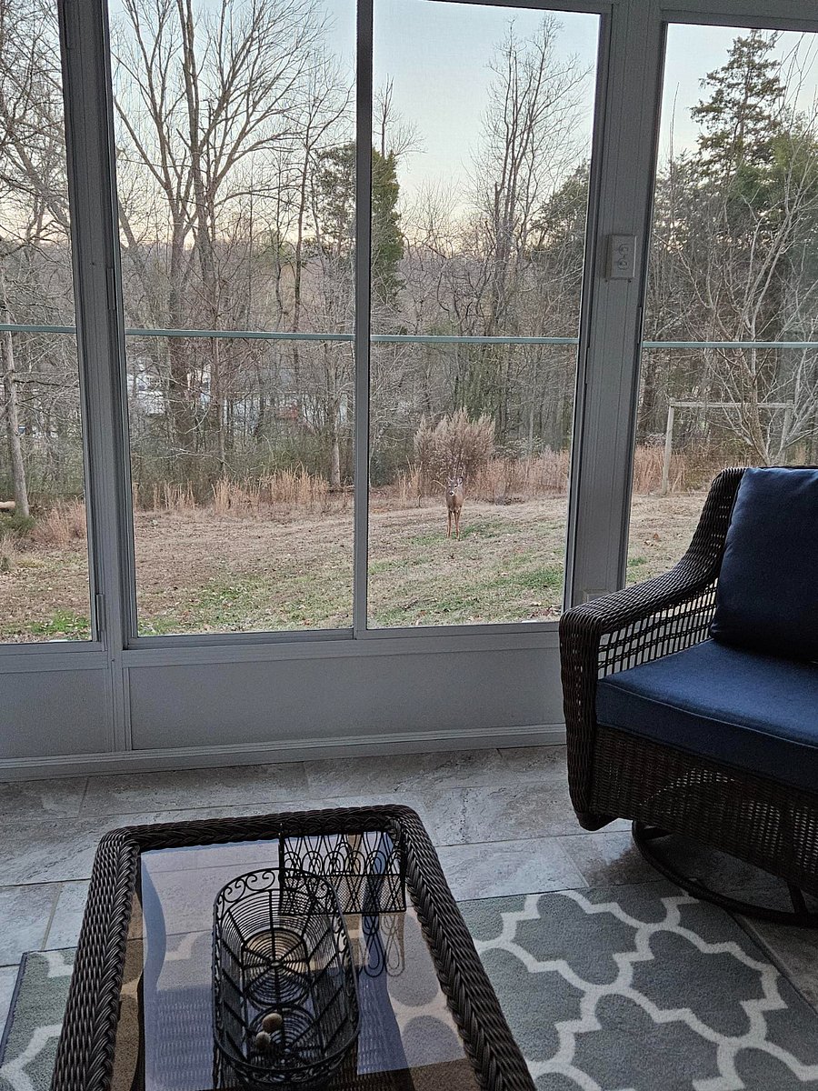 Furnished Finder property 806120_1 photo 7