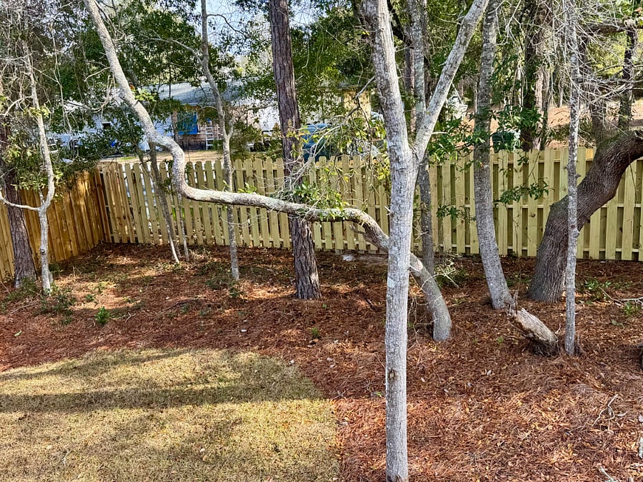Furnished Finder property 806131_1 photo 24
