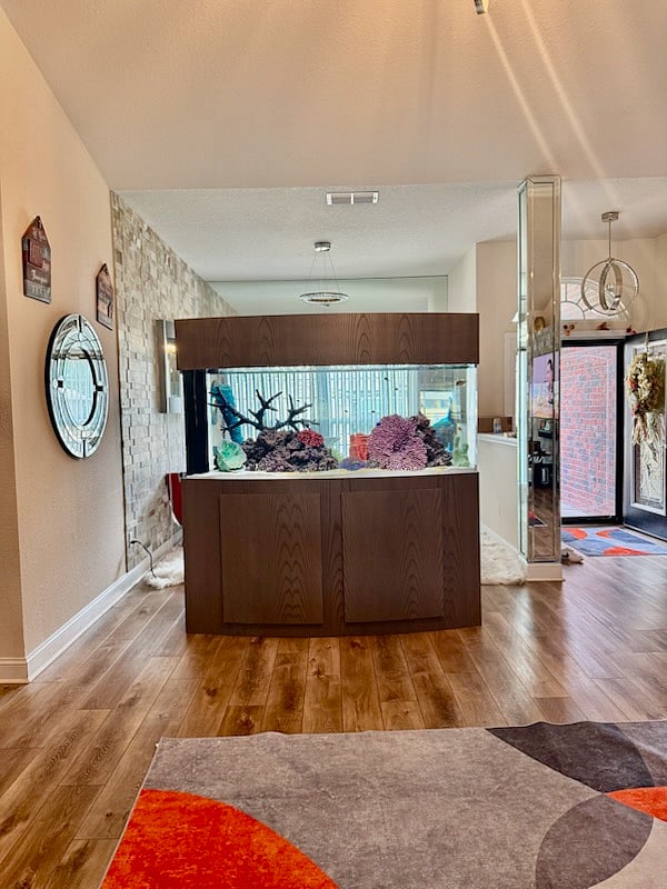 Furnished Finder property 806274_1 photo 13