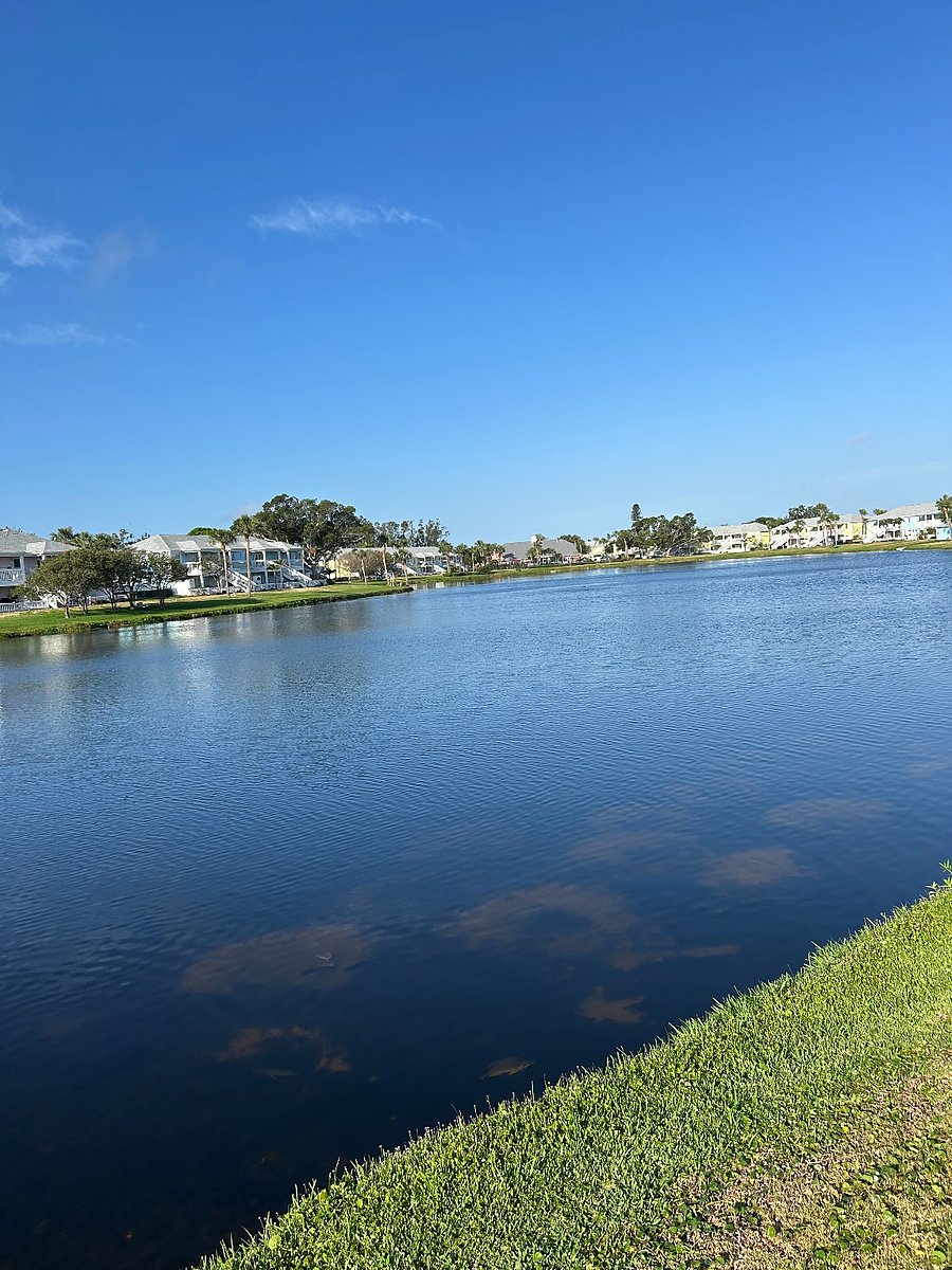 Beautiful Pond Right Outside Your Front Door. 