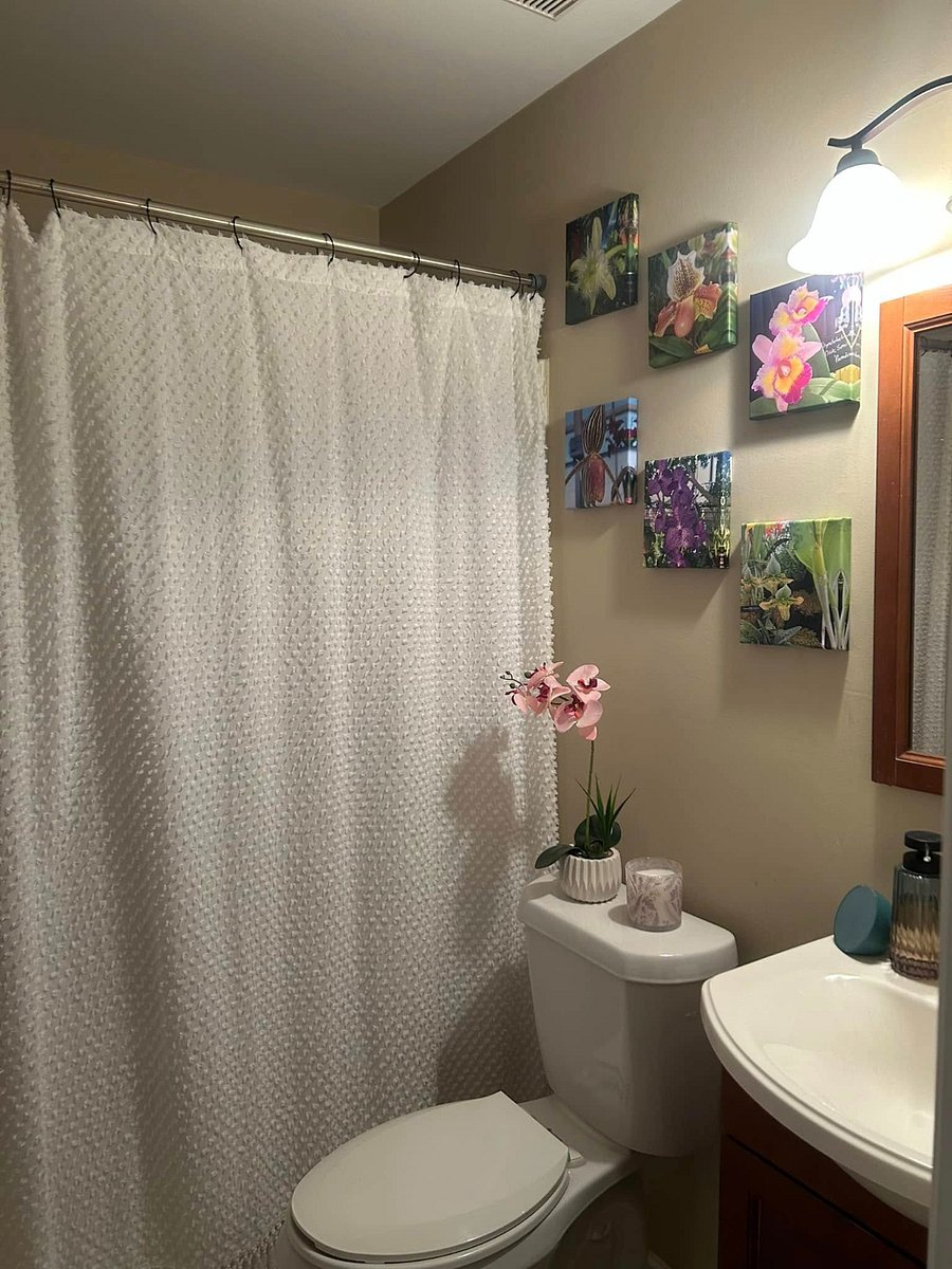Furnished Finder property 806384_1 photo 3