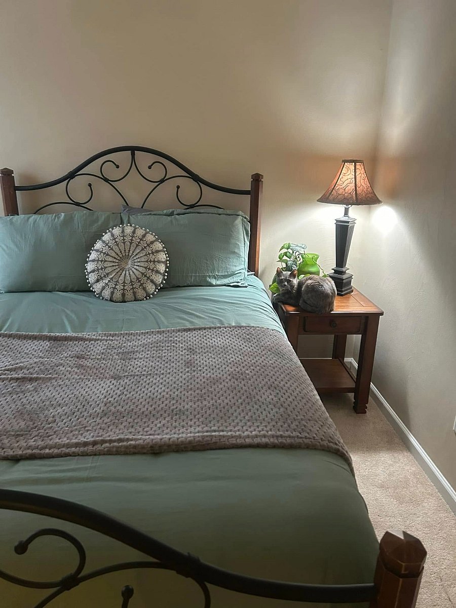 Furnished Finder property 806384_1 photo 9