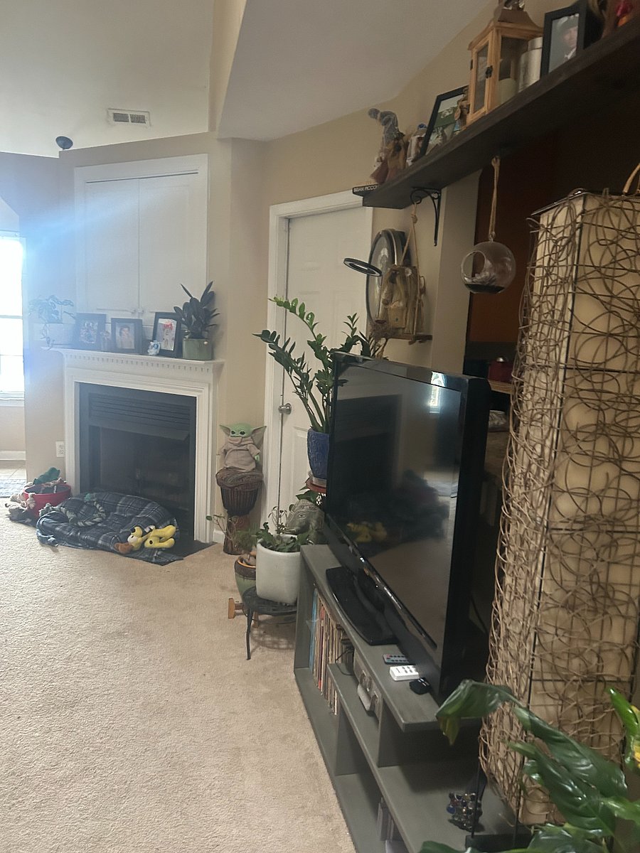 Furnished Finder property 806384_1 photo 10