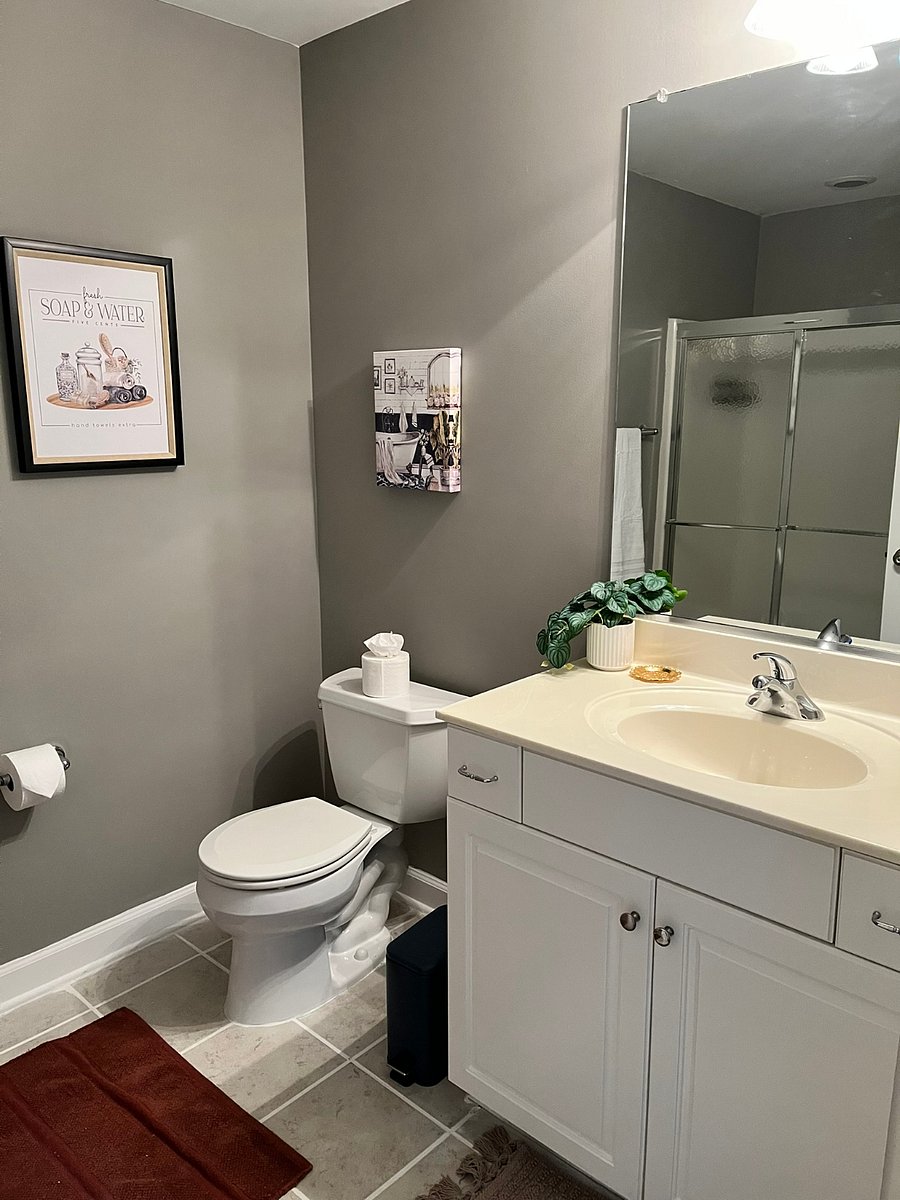 Furnished Finder property 806408_1 photo 16