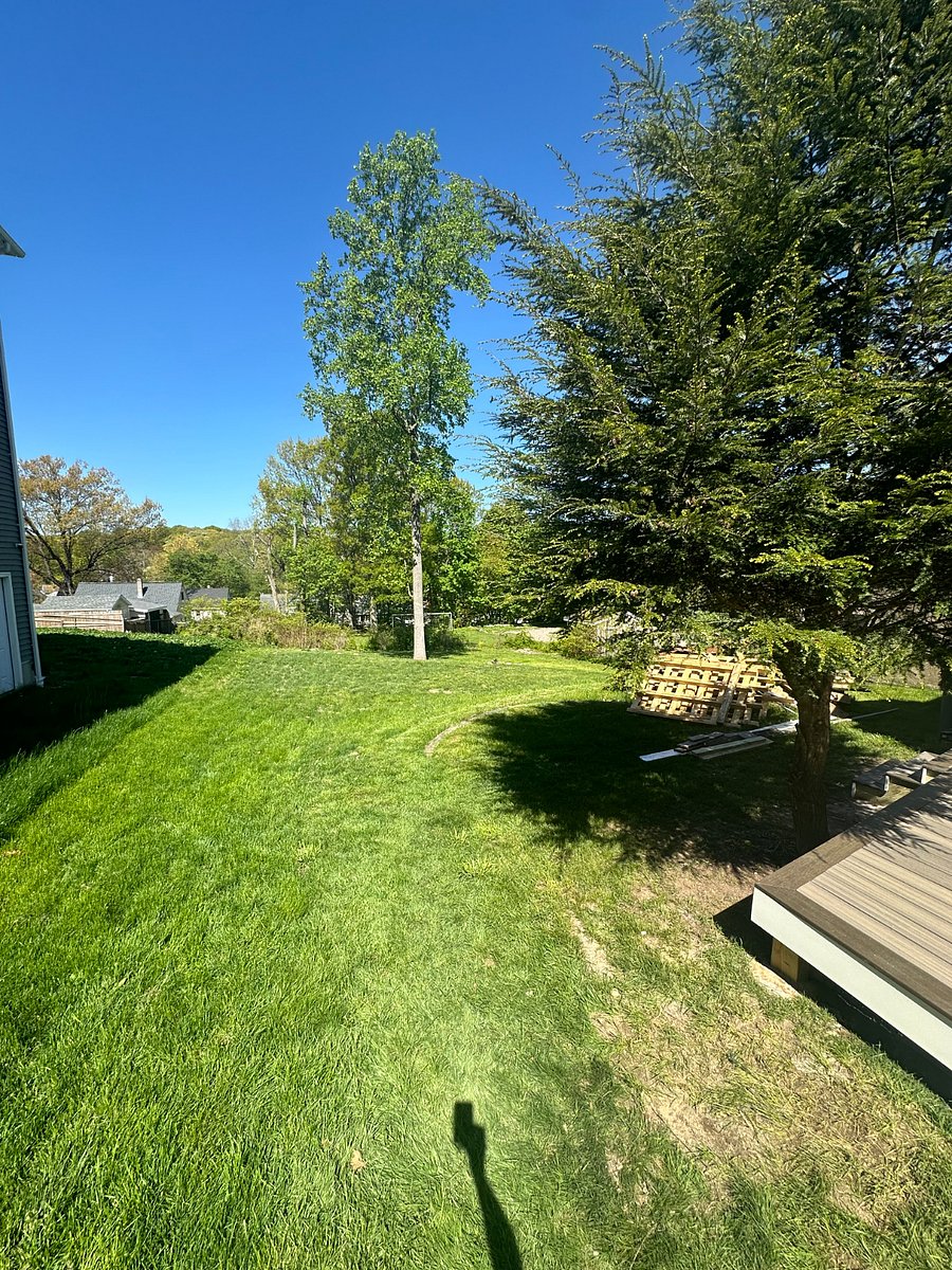 Furnished Finder property 806412_1 photo 25