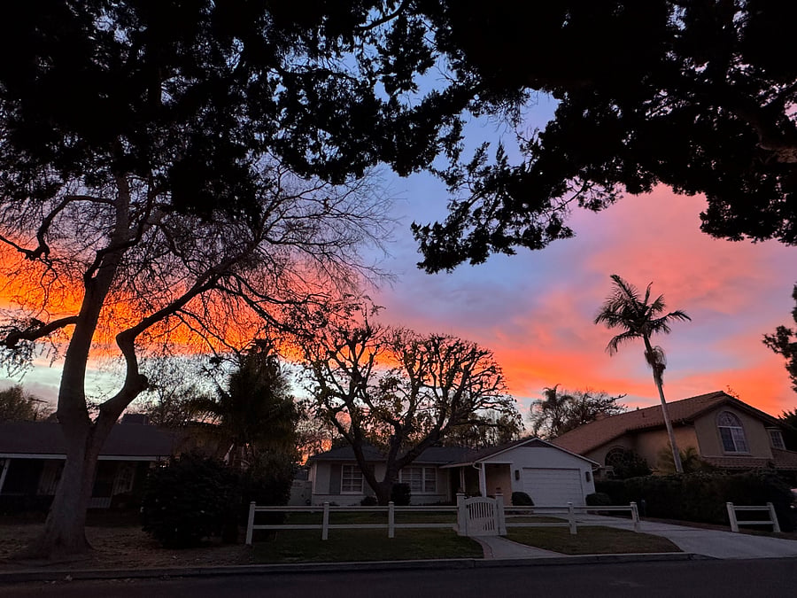Best Neighbor Ever (Your View) @ Sunset